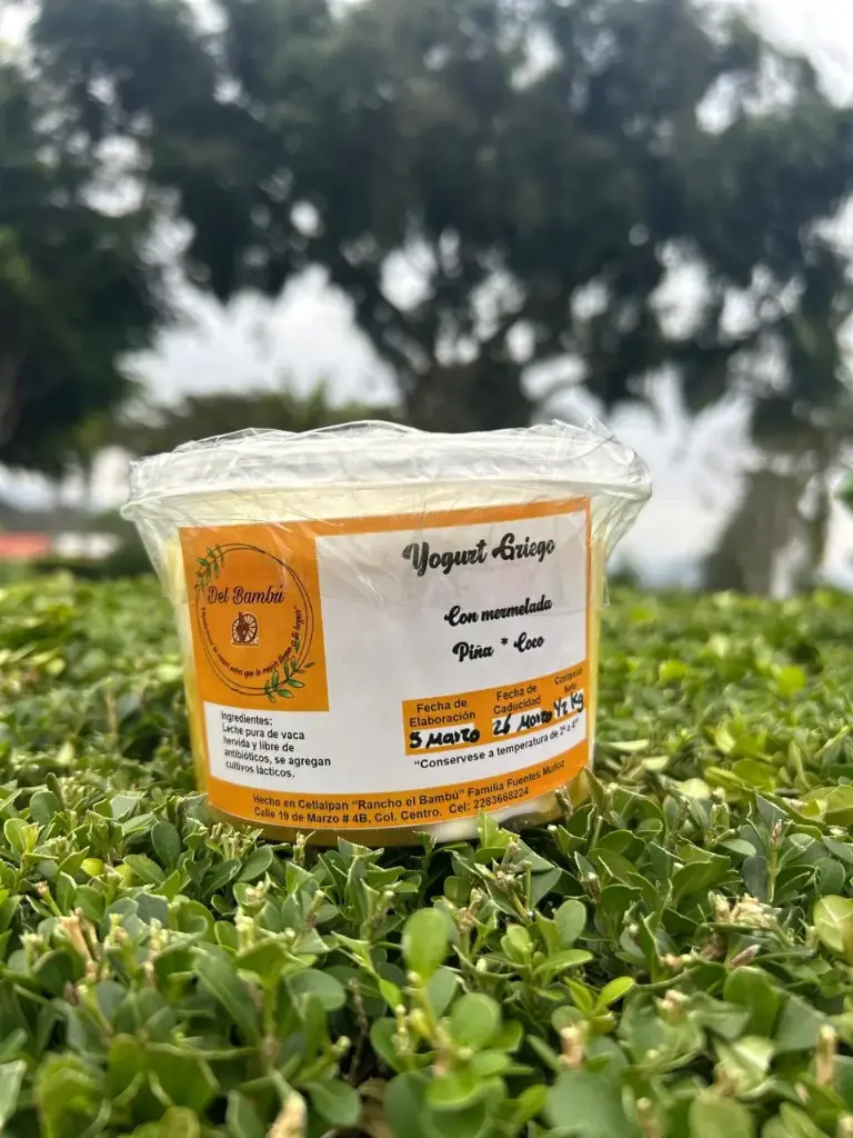 Yogurt Griego Natural/½ litro (Vacas de Libre Pastoreo)