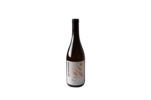 Rover 2023 // Sauvignon Blanc y Chardonnay, Vino Anaranjado Agroecológico/750ml