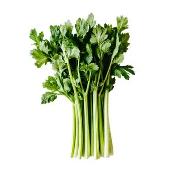 Apio Agroecológico/Manojo