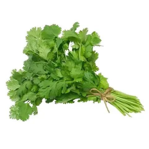 Cilantro Agroecológico/Manojo