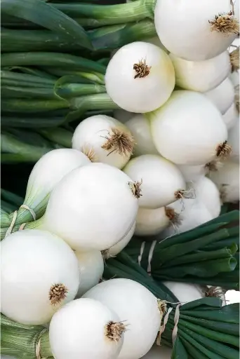 Cebolla Blanca Agroecológica/500gr