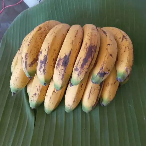 Plátano Agroecológico/Kg