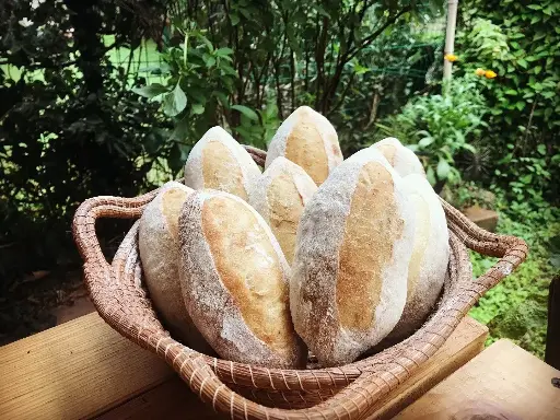Pan Bolillo Orgánico de Masa Madre