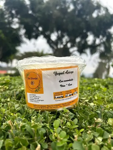 Yogurt Griego Natural/½ litro (Vacas de Libre Pastoreo)