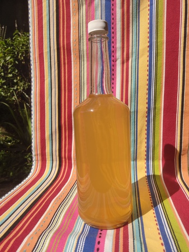Kombucha té verde con zacate limon/1 litro